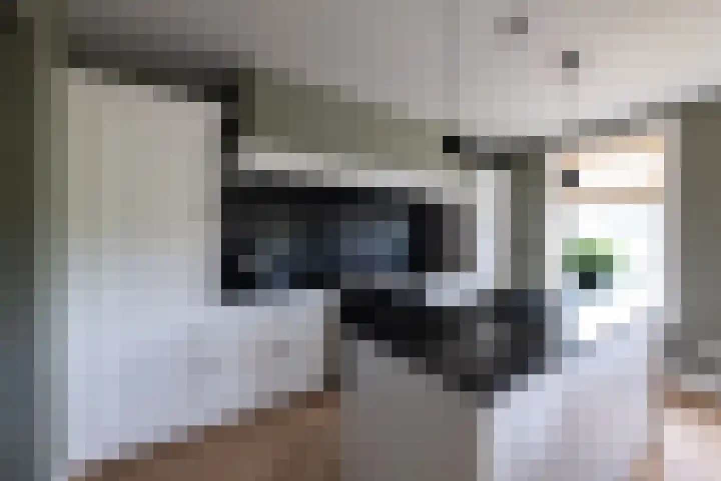 Dorpsweg 9 Hellevoetsluis thumbnail 11