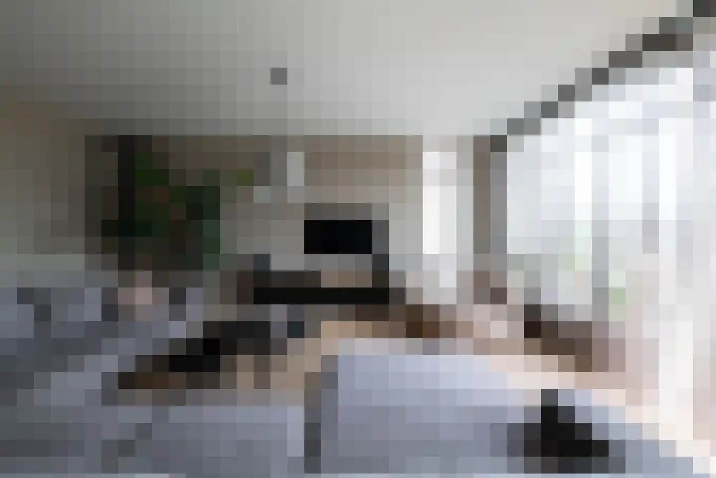 Dorpsweg 9 Hellevoetsluis thumbnail 4