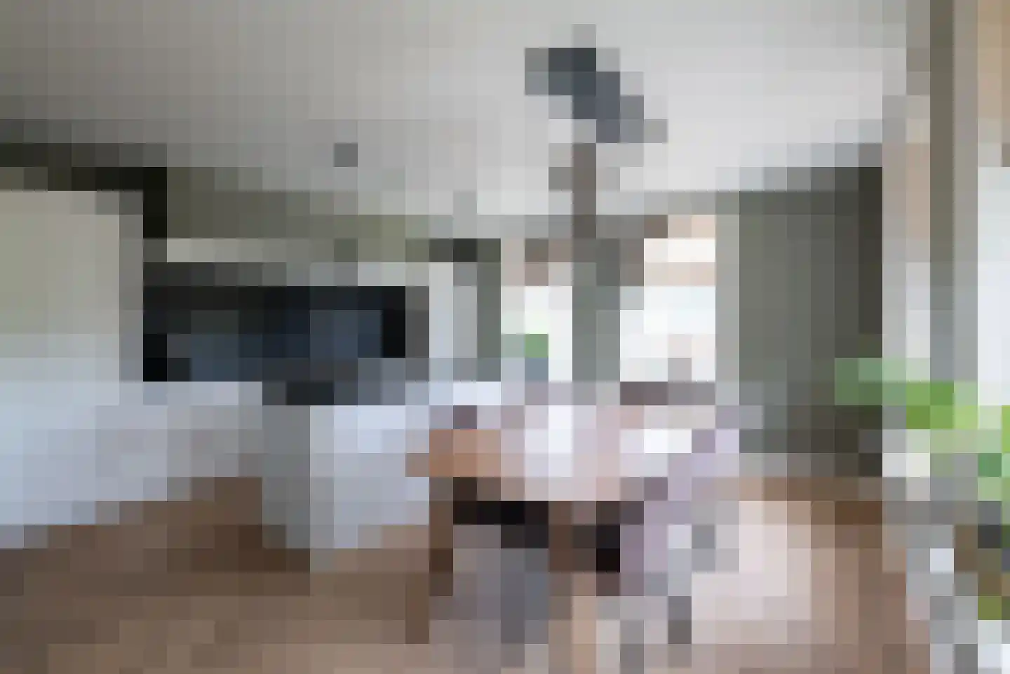 Dorpsweg 9 Hellevoetsluis thumbnail 5