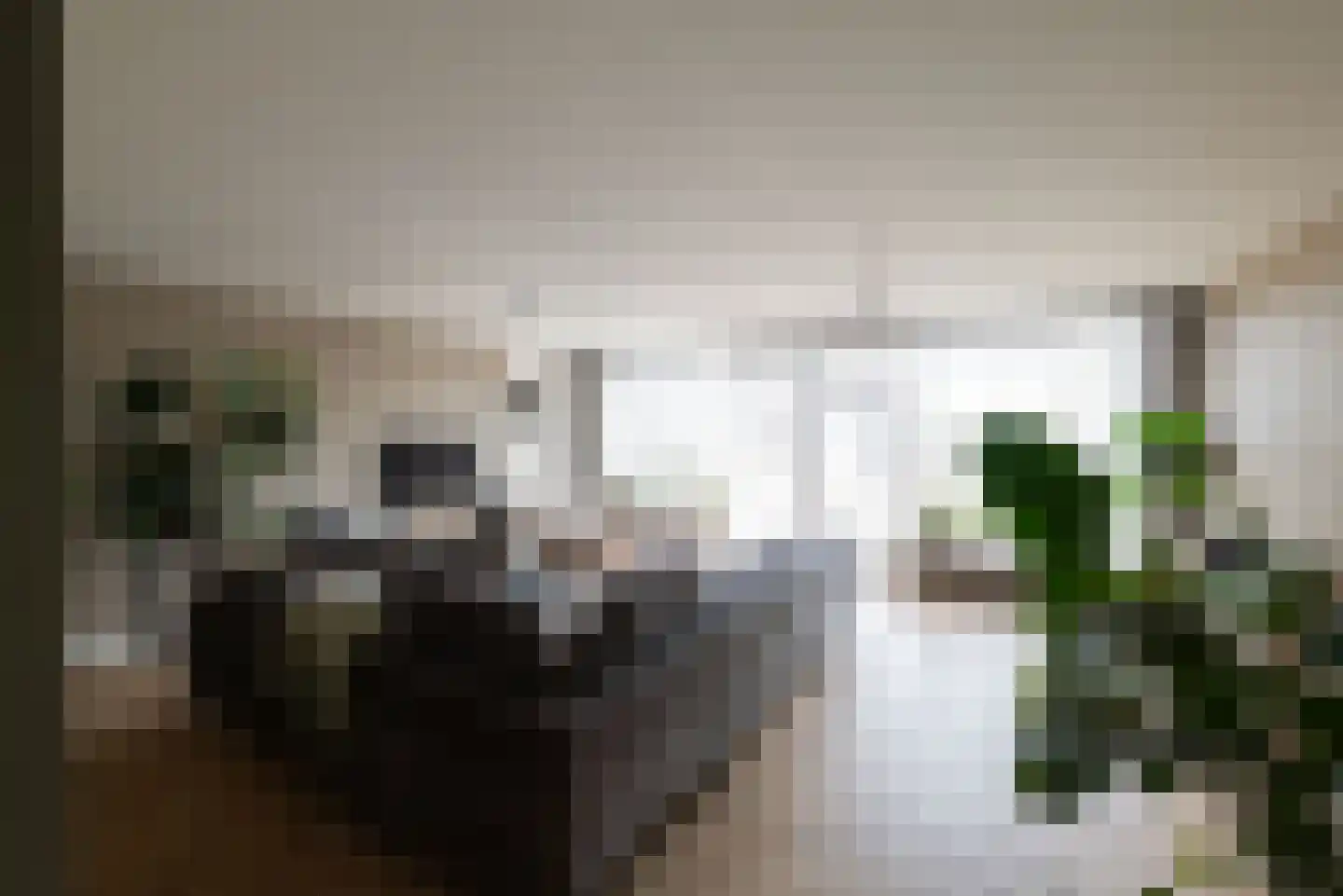 Dorpsweg 9 Hellevoetsluis thumbnail 7