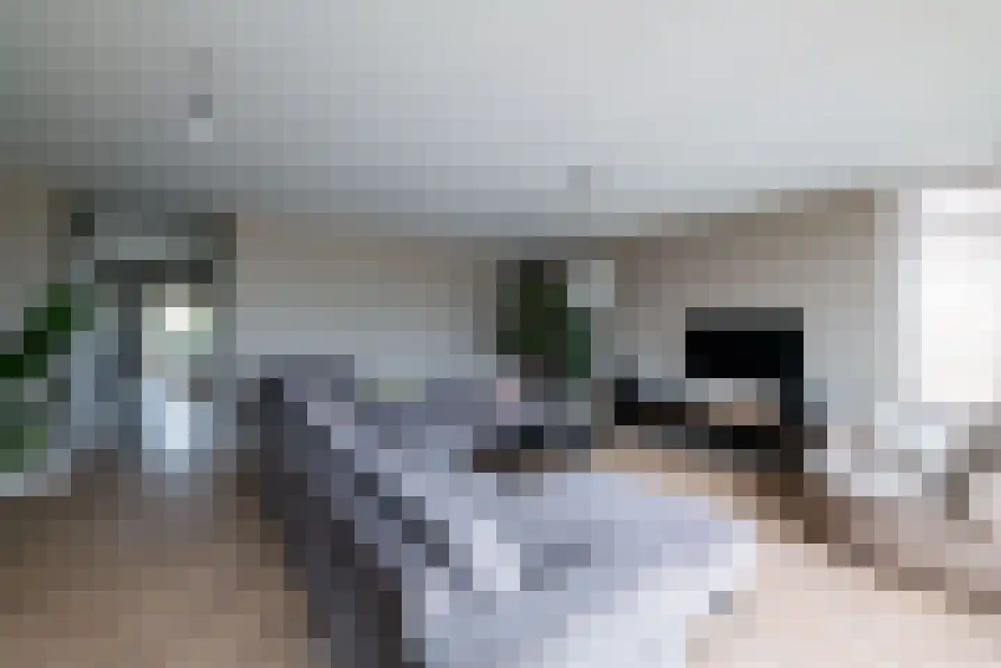 Dorpsweg 9 Hellevoetsluis thumbnail 8