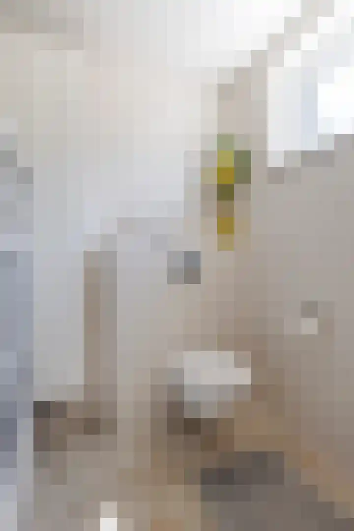 Dorpsweg 90 Hoornaar thumbnail 12