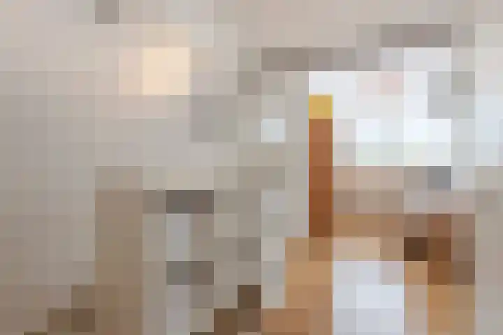 Dorpsweg 90 Hoornaar thumbnail 18