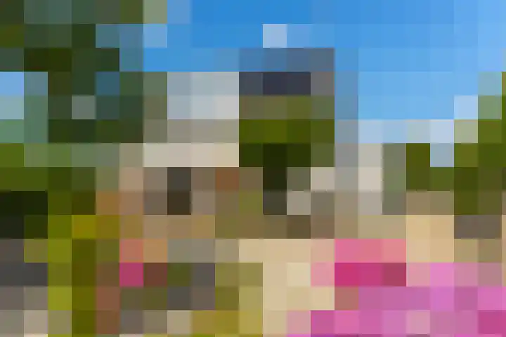Dorpsweg 90 Hoornaar thumbnail 26