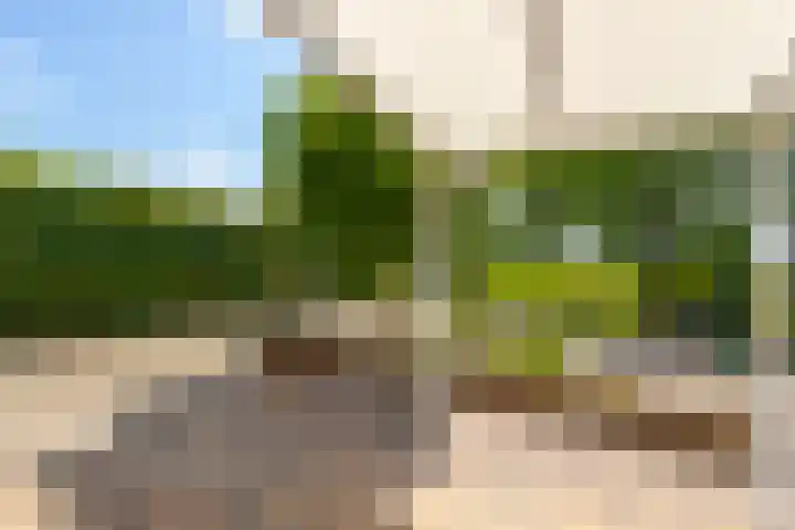 Dorpsweg 90 Hoornaar thumbnail 29
