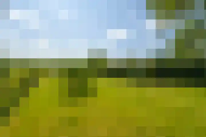 Dorpsweg 90 Hoornaar foto 3