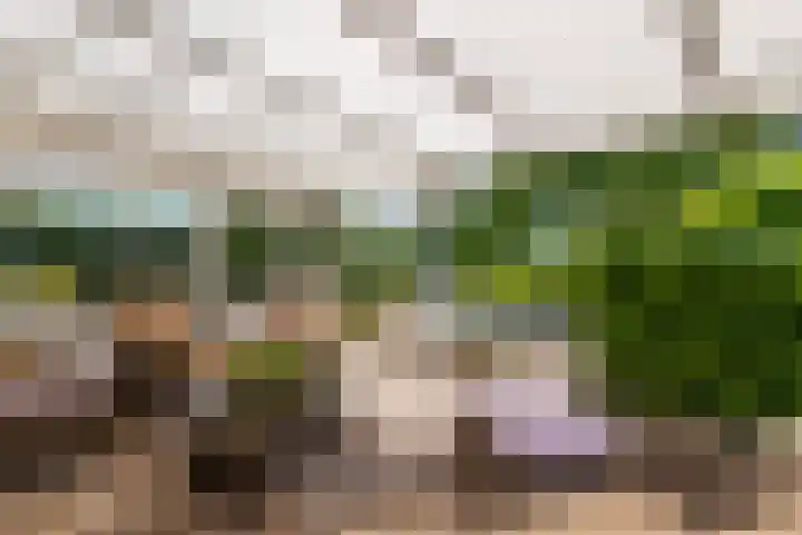 Dorpsweg 90 Hoornaar thumbnail 30