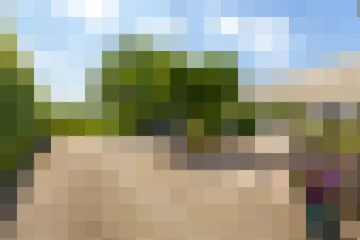 Dorpsweg 90 Hoornaar thumbnail 31