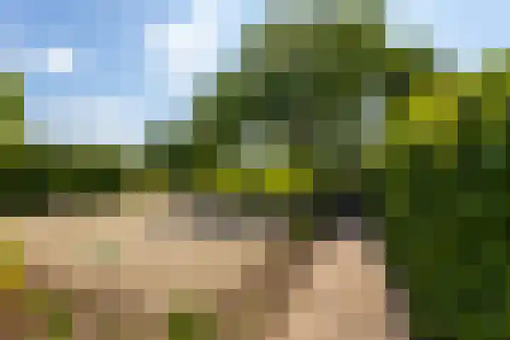 Dorpsweg 90 Hoornaar thumbnail 32