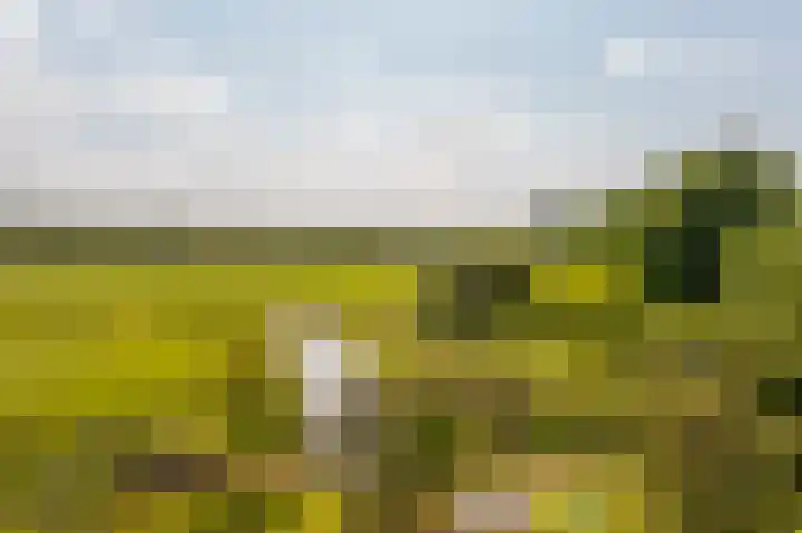 Dorpsweg 90 Hoornaar thumbnail 33