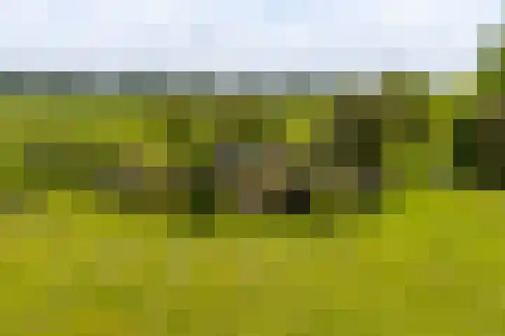 Dorpsweg 90 Hoornaar thumbnail 34