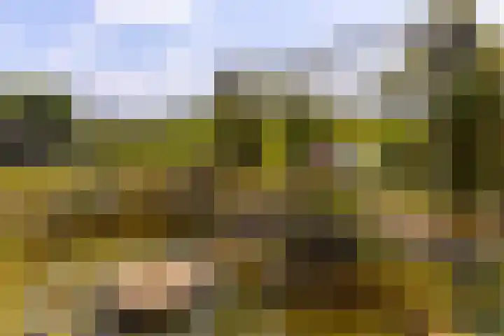 Dorpsweg 90 Hoornaar thumbnail 35