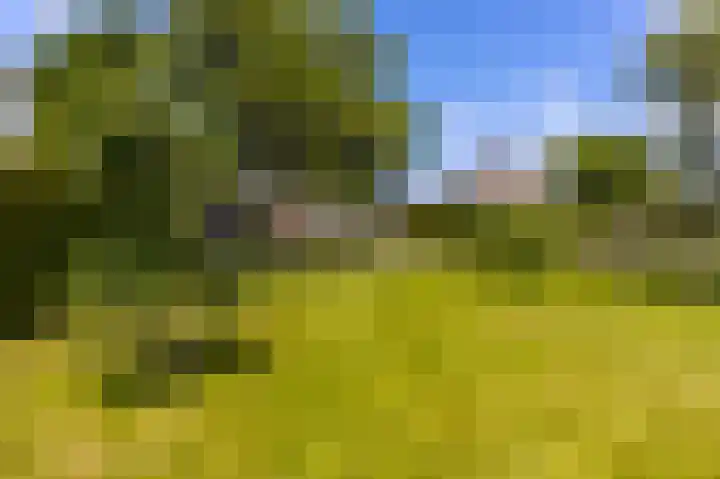 Dorpsweg 90 Hoornaar thumbnail 36