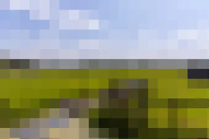 Dorpsweg 90 Hoornaar thumbnail 37