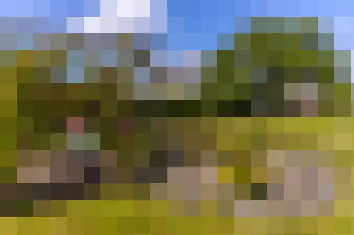 Dorpsweg 90 Hoornaar thumbnail 38