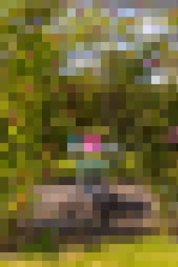 Dorpsweg 90 Hoornaar thumbnail 39