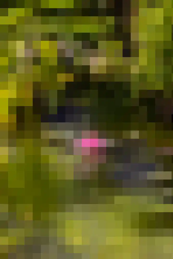 Dorpsweg 90 Hoornaar thumbnail 40