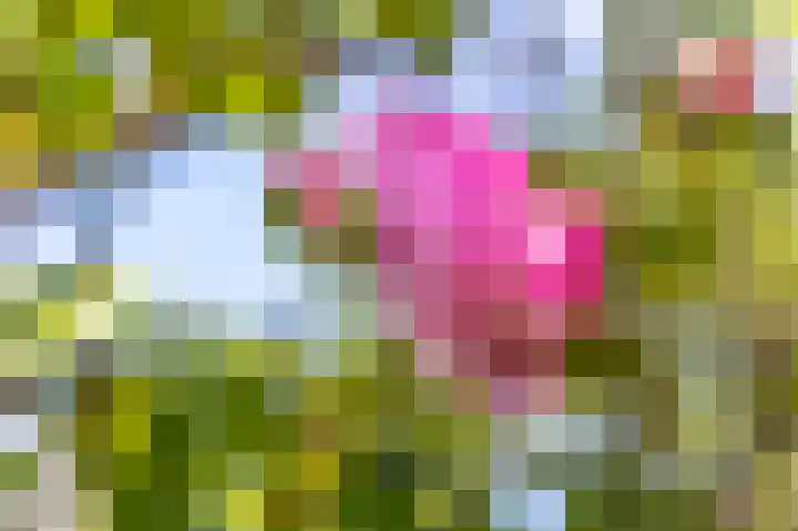 Dorpsweg 90 Hoornaar thumbnail 42