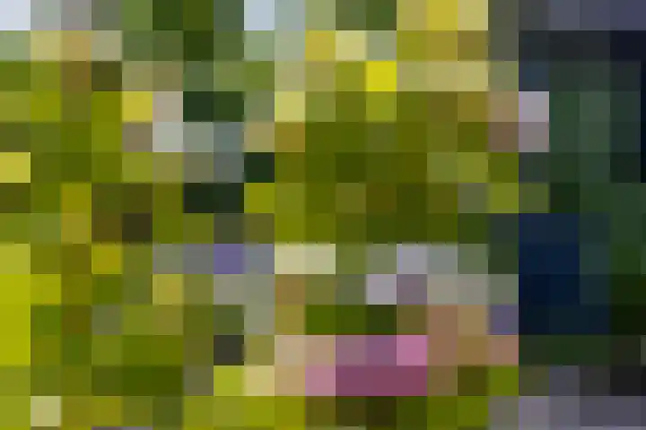 Dorpsweg 90 Hoornaar thumbnail 43