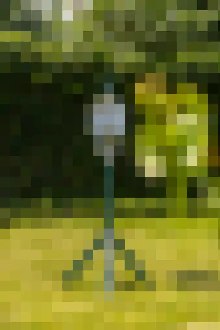Dorpsweg 90 Hoornaar thumbnail 44