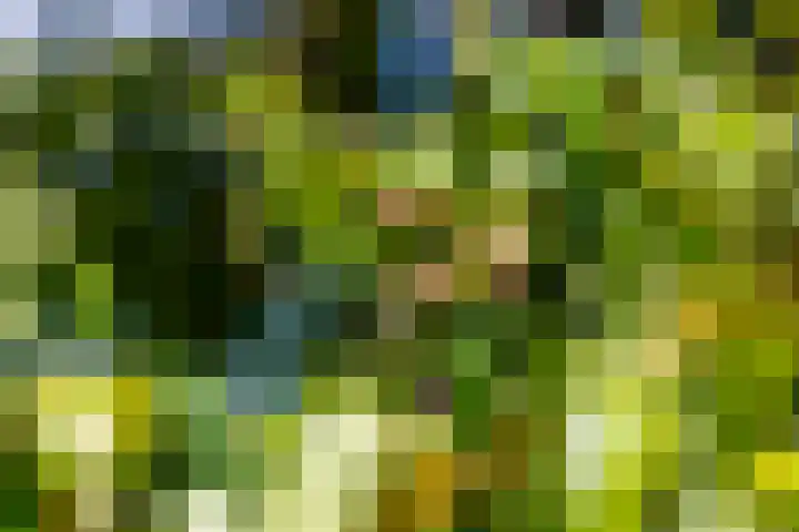 Dorpsweg 90 Hoornaar thumbnail 45