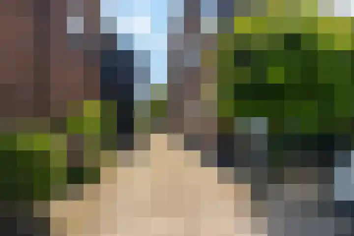 Dorpsweg 90 Hoornaar thumbnail 46
