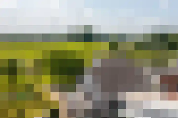 Dorpsweg 90 Hoornaar thumbnail 49