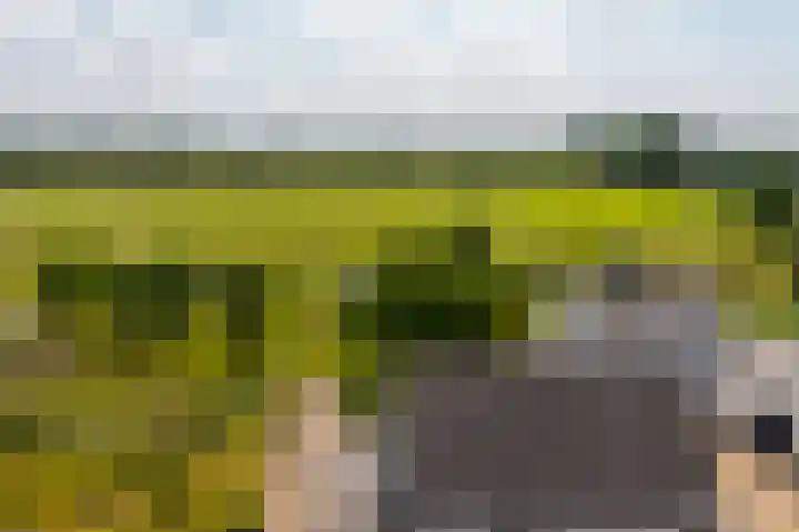 Dorpsweg 90 Hoornaar thumbnail 50