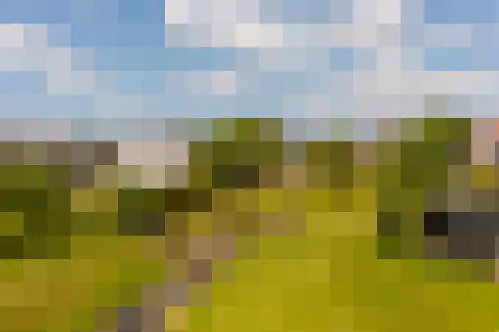 Dorpsweg 90 Hoornaar thumbnail 52