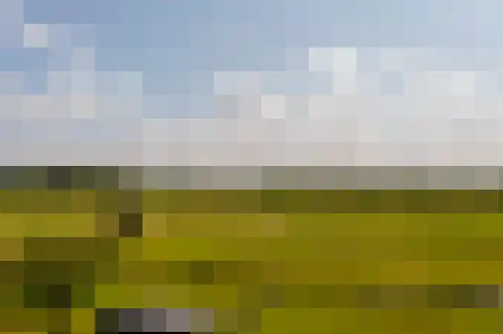 Dorpsweg 90 Hoornaar thumbnail 53