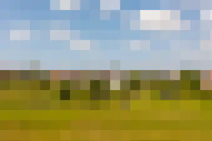 Dorpsweg 90 Hoornaar thumbnail 54