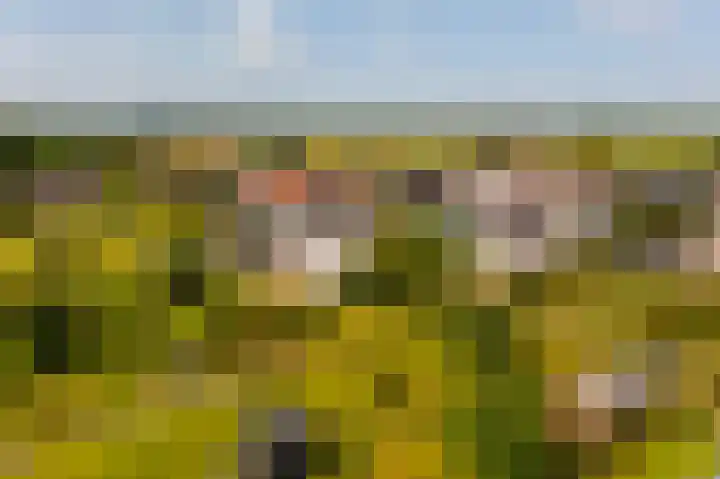 Dorpsweg 90 Hoornaar thumbnail 55