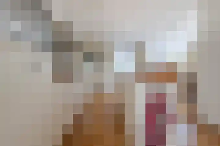 Dorpsweg 90 Hoornaar thumbnail 8