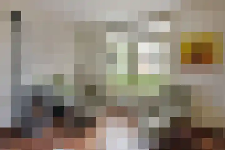 Dorpsweg 91 A Schellinkhout thumbnail 11