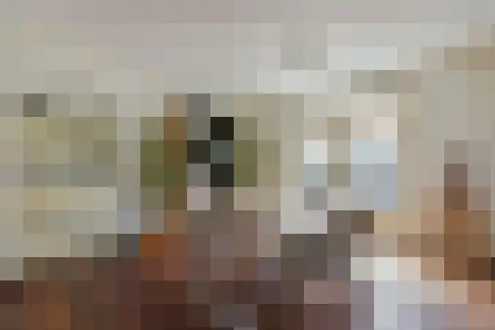 Dorpsweg 91 A Schellinkhout thumbnail 12