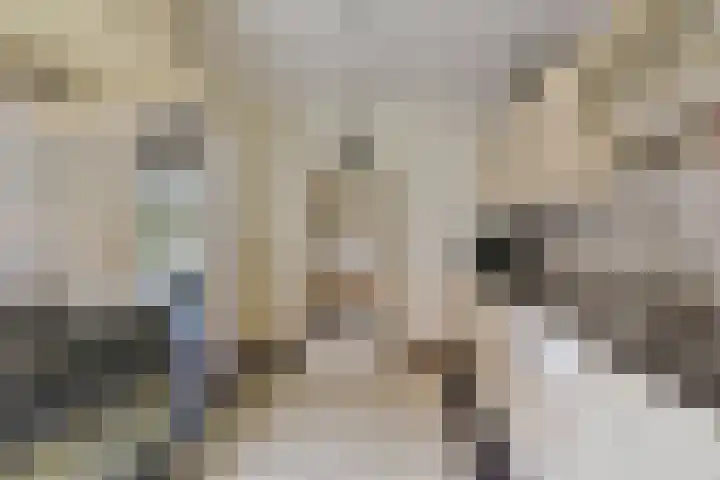 Dorpsweg 91 A Schellinkhout thumbnail 14