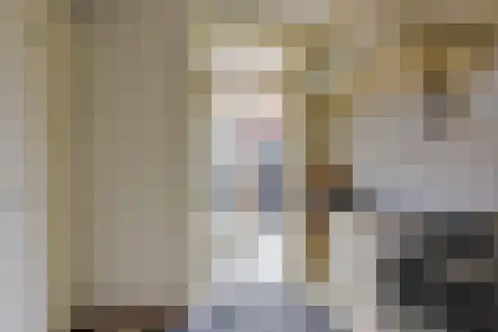 Dorpsweg 91 A Schellinkhout thumbnail 15