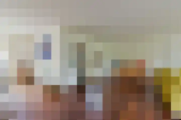 Dorpsweg 91 A Schellinkhout thumbnail 16