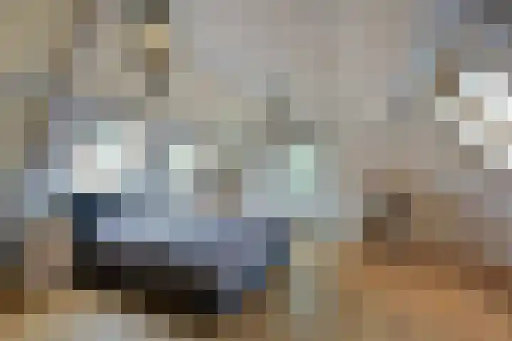 Dorpsweg 91 A Schellinkhout thumbnail 19