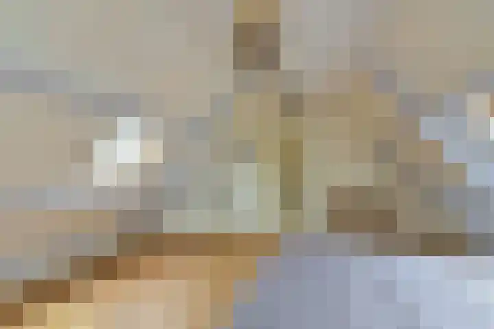 Dorpsweg 91 A Schellinkhout thumbnail 21