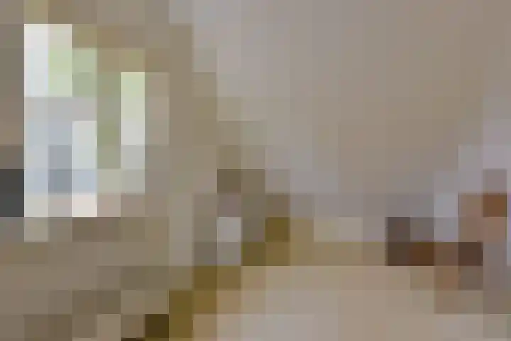Dorpsweg 91 A Schellinkhout thumbnail 25