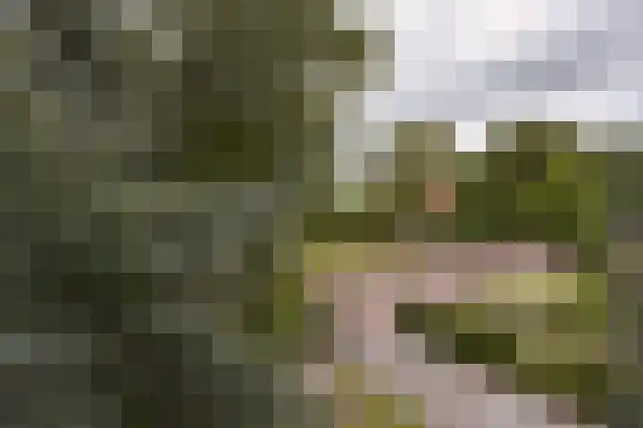 Dorpsweg 91 A Schellinkhout thumbnail 30