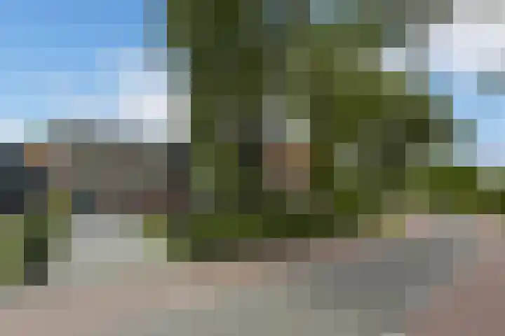 Dorpsweg 91 A Schellinkhout thumbnail 31