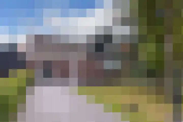 Dorpsweg 91 A Schellinkhout thumbnail 32