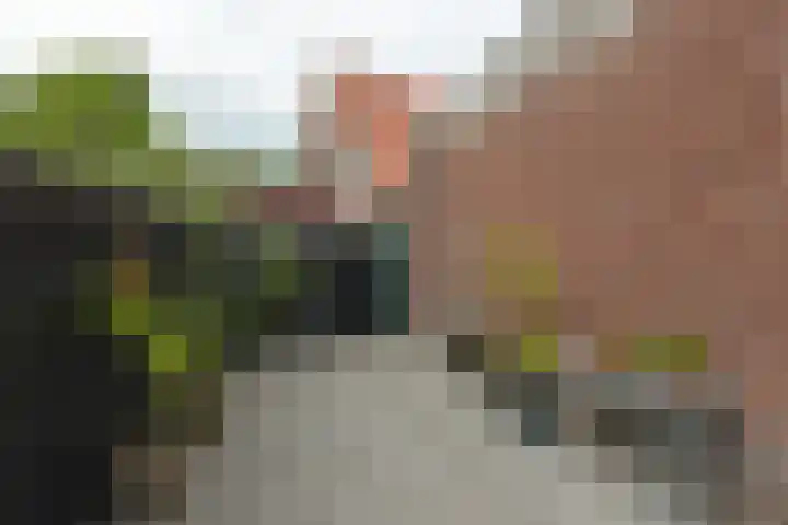 Dorpsweg 91 A Schellinkhout thumbnail 34
