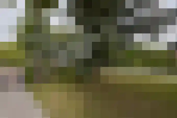 Dorpsweg 91 A Schellinkhout thumbnail 35