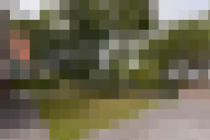 Dorpsweg 91 A Schellinkhout thumbnail 36