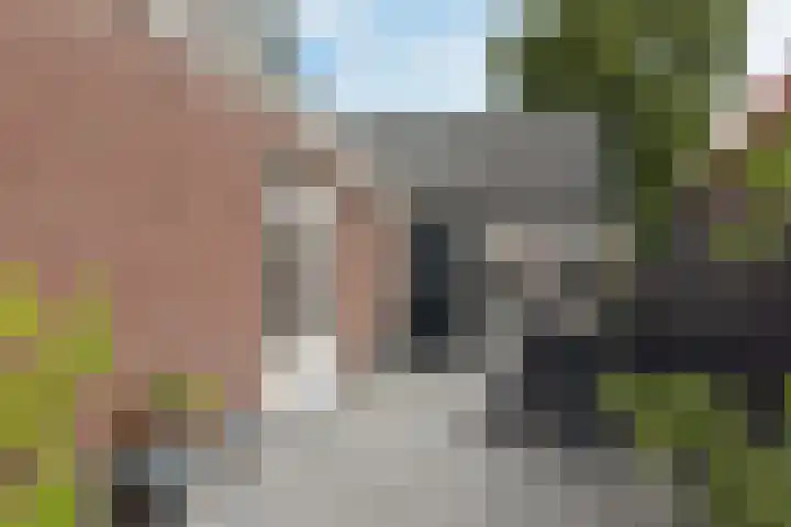 Dorpsweg 91 A Schellinkhout thumbnail 37