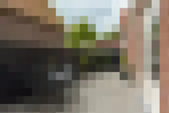 Dorpsweg 91 A Schellinkhout thumbnail 38