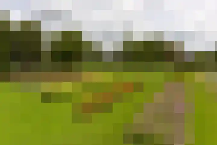 Dorpsweg 91 A Schellinkhout thumbnail 40